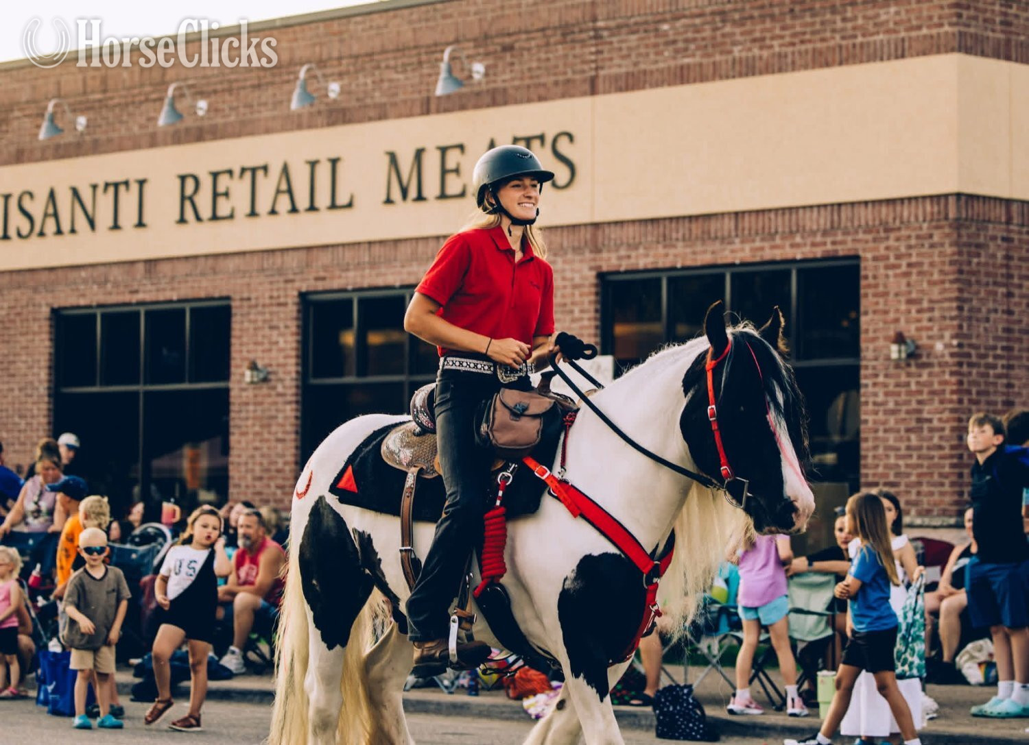 "River's Edge Rockstar" Piebald Gelding Gypsy Vanner