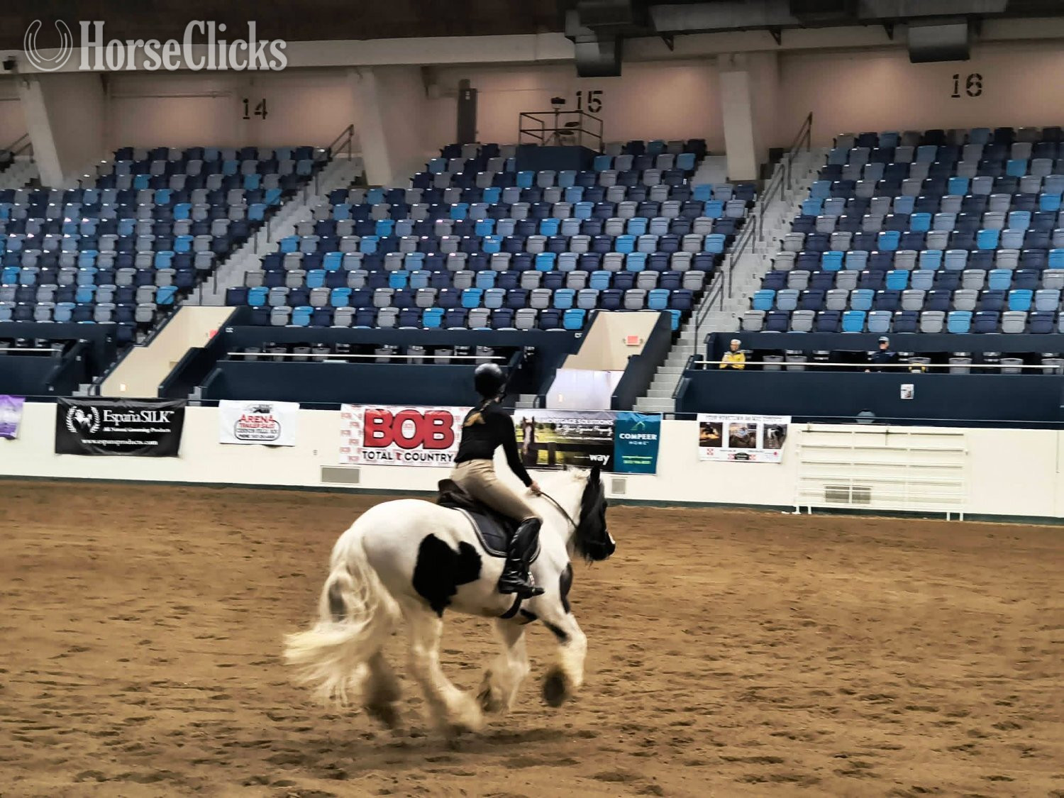 "River's Edge Rockstar" Piebald Gelding Gypsy Vanner - Gypsy Vanner in Minnesota