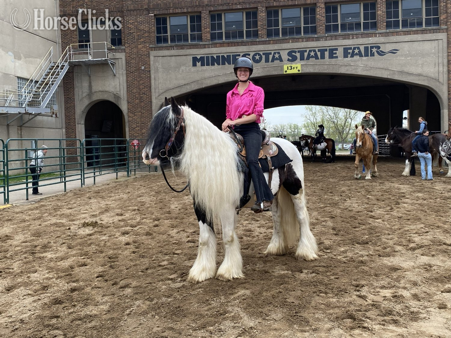 "River's Edge Rockstar" Piebald Gelding Gypsy Vanner - Gypsy Vanner