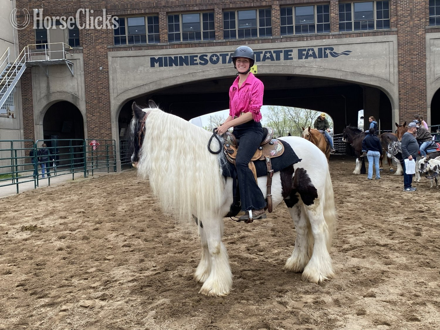 "River's Edge Rockstar" Piebald Gelding Gypsy Vanner Minnesota