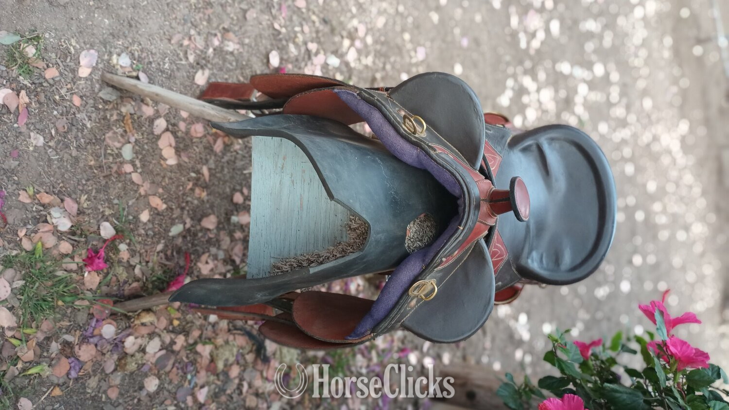 15" Other Australian Saddle