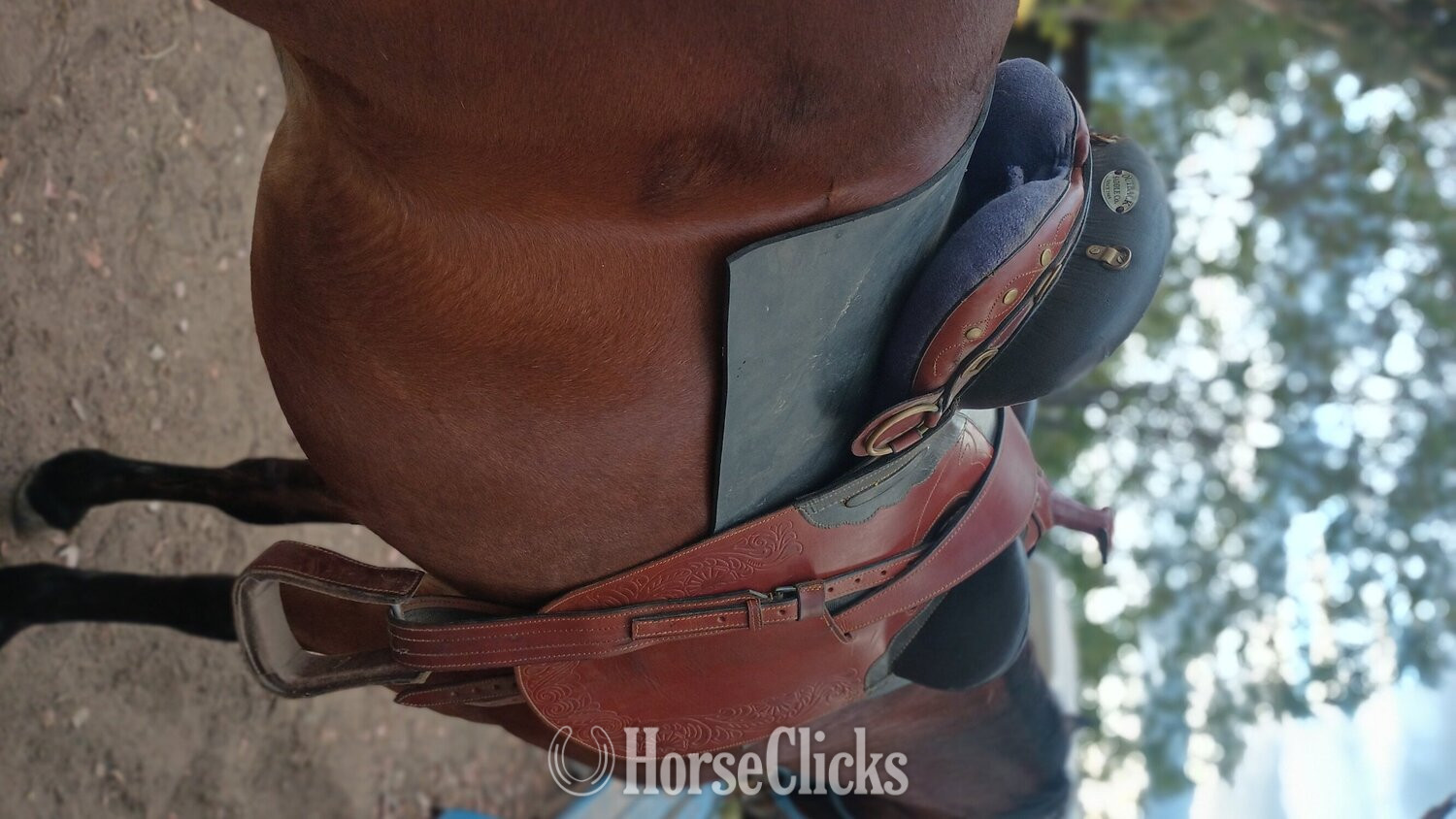 15" Other Australian Saddle - Australian Saddles in California