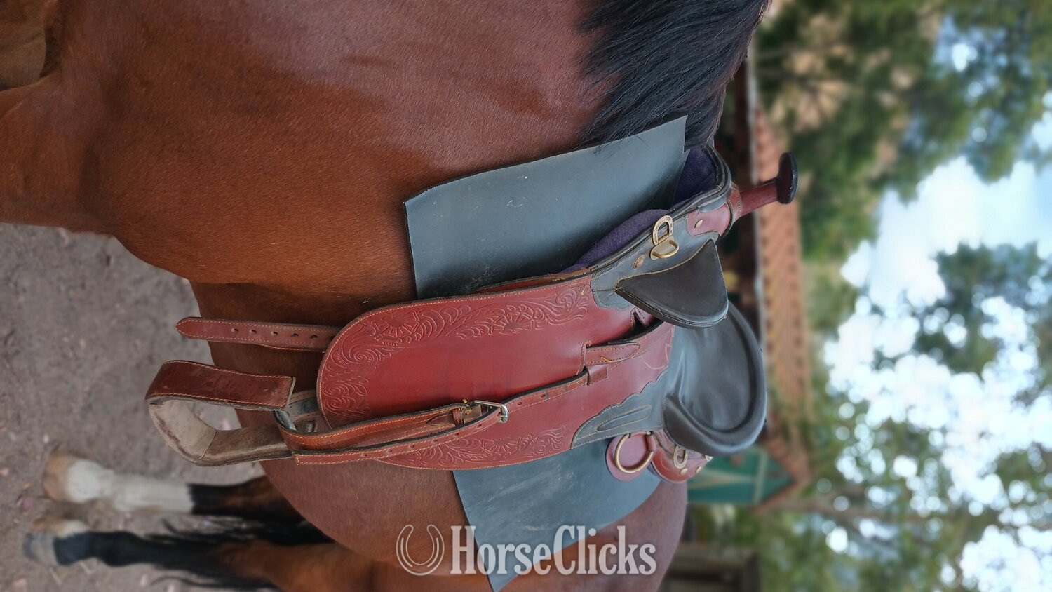 15" Other Australian Saddle California