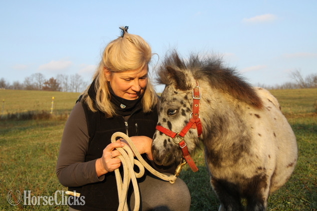 "Sophia and Tina"  Filly American Miniature