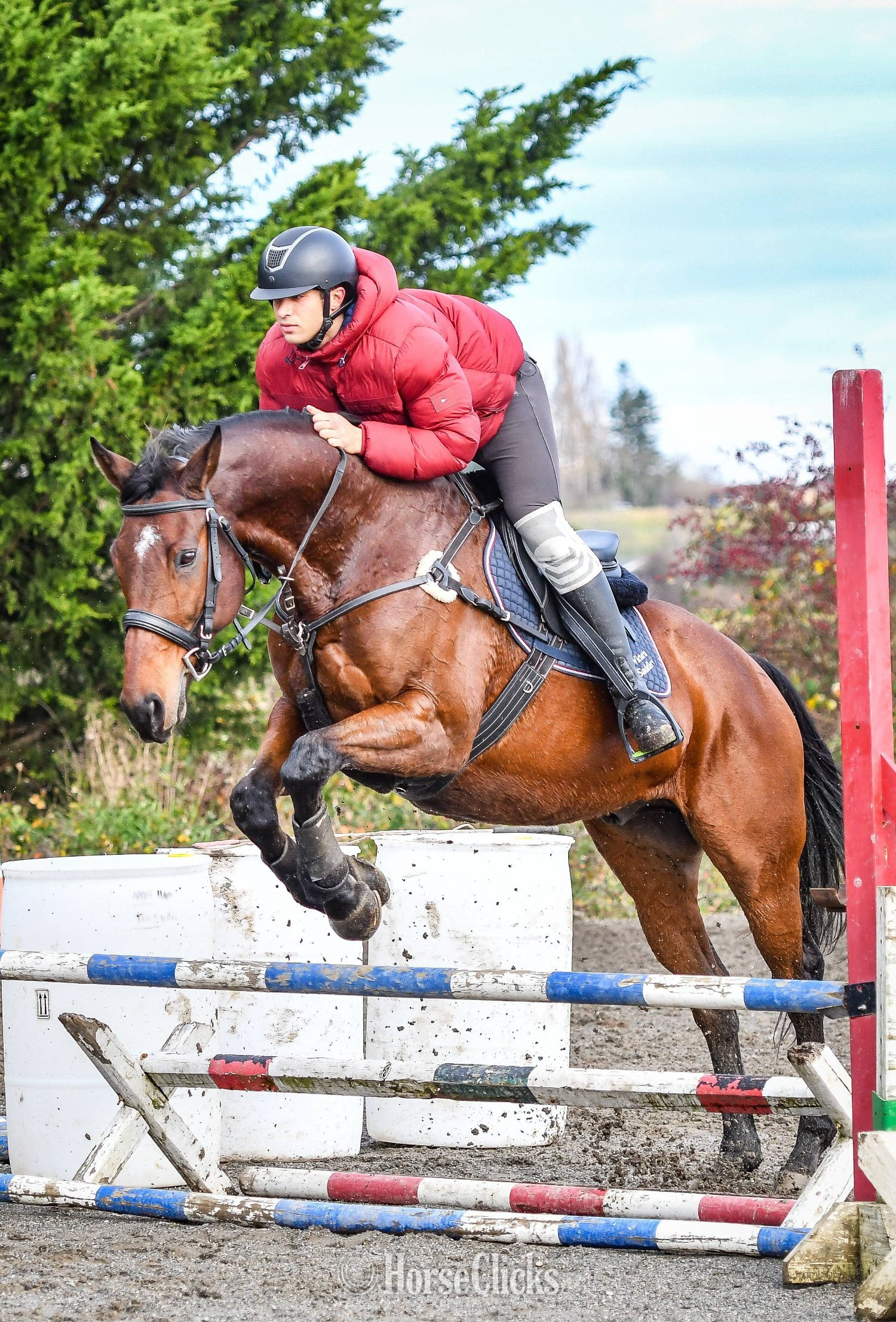 "Flatten" Bay Gelding Thoroughbred in British Columbia
