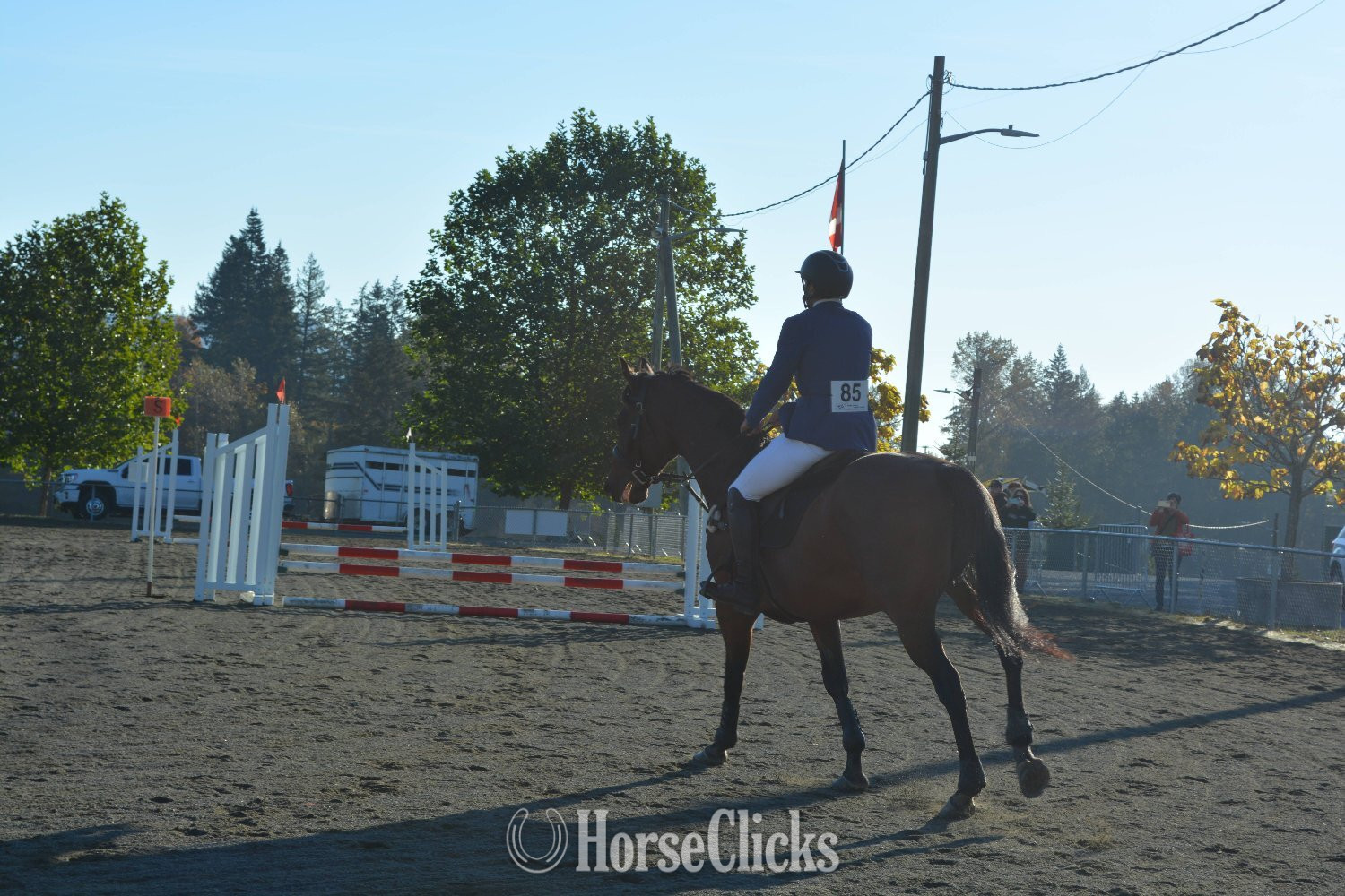 "Flatten" Bay Gelding Thoroughbred - Thoroughbred in British Columbia