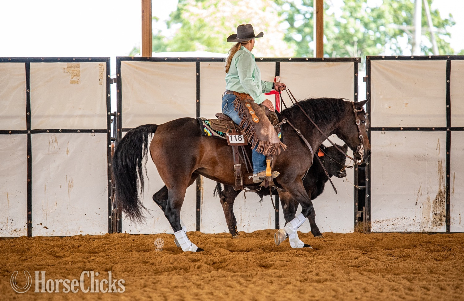 Wisconsin "Cora" Bay Mare Arabian Cross