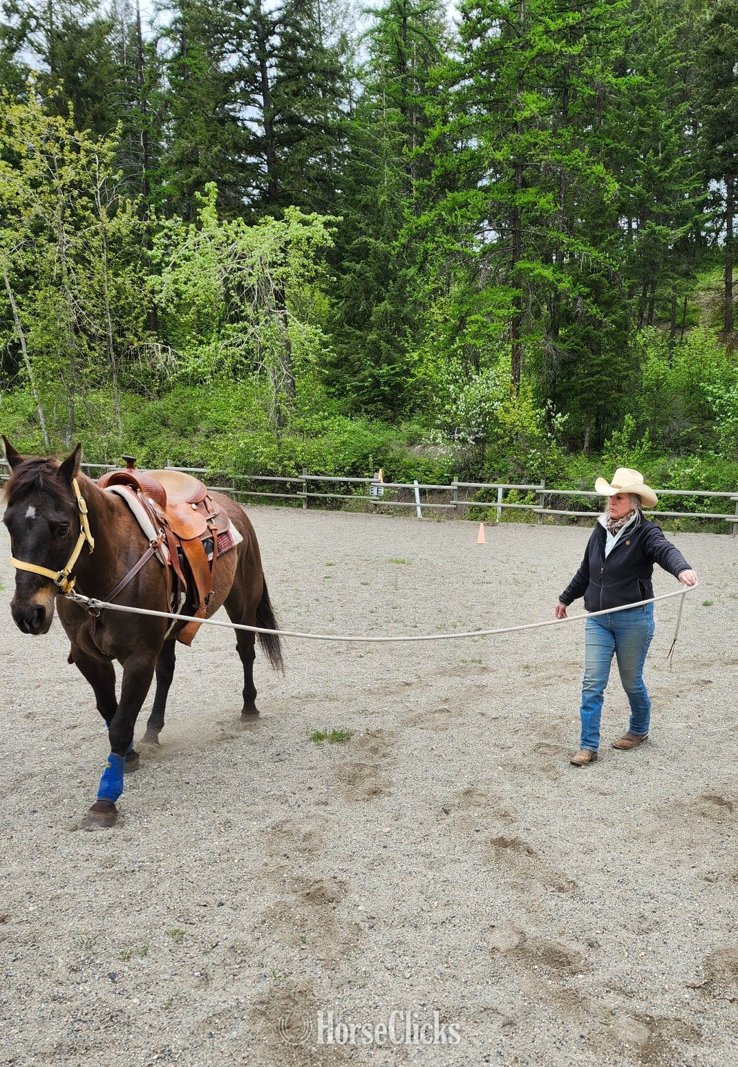 "SMART LUV MONEY" Buckskin Gelding Quarter Horse - Quarter Horse in British Columbia