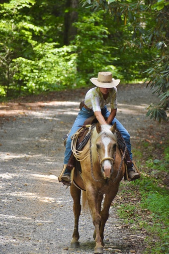 "Nugget" Palomino Mare Quarter Horse