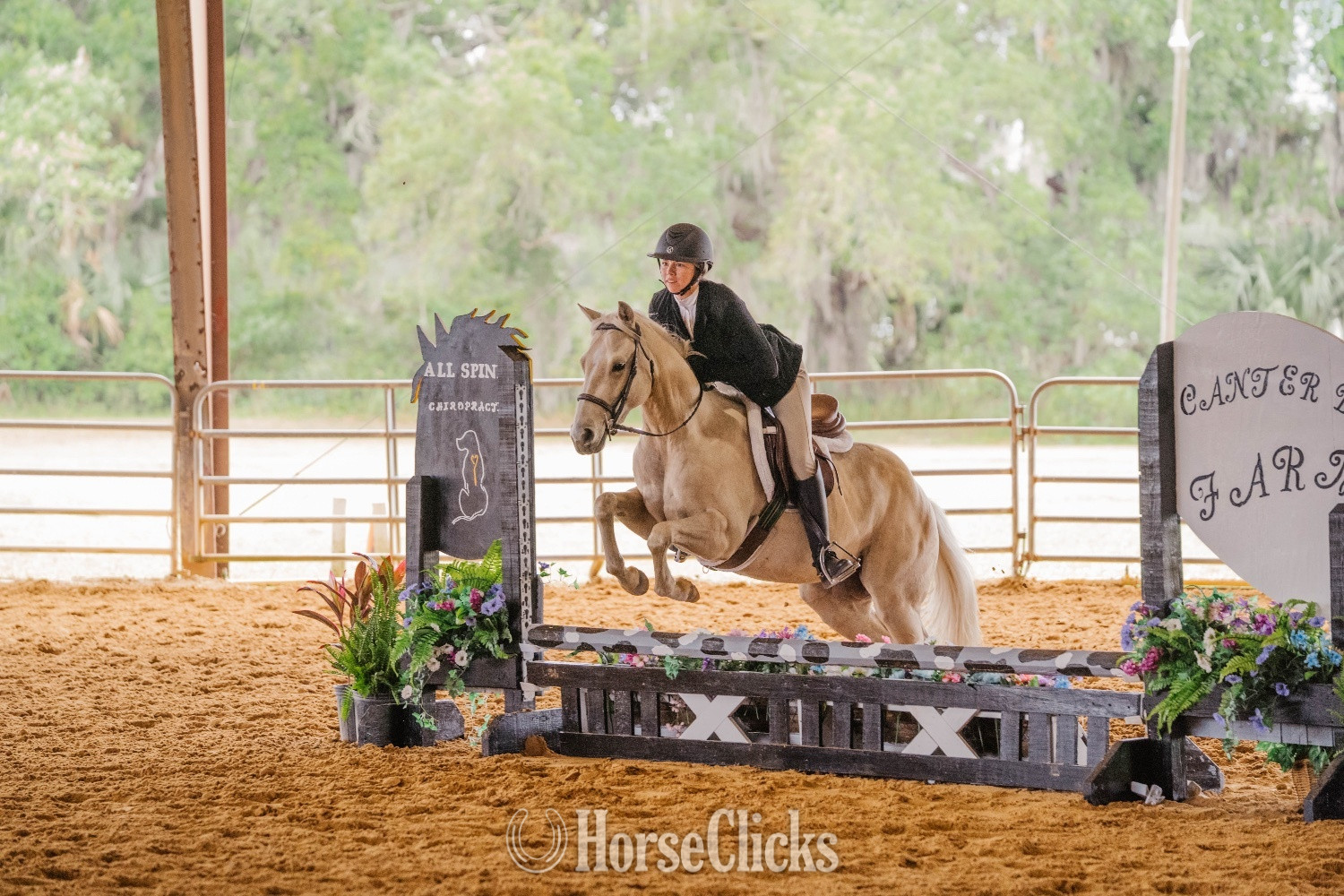 Florida "Lenas Smart Blonde " Palomino Mare Quarter Horse