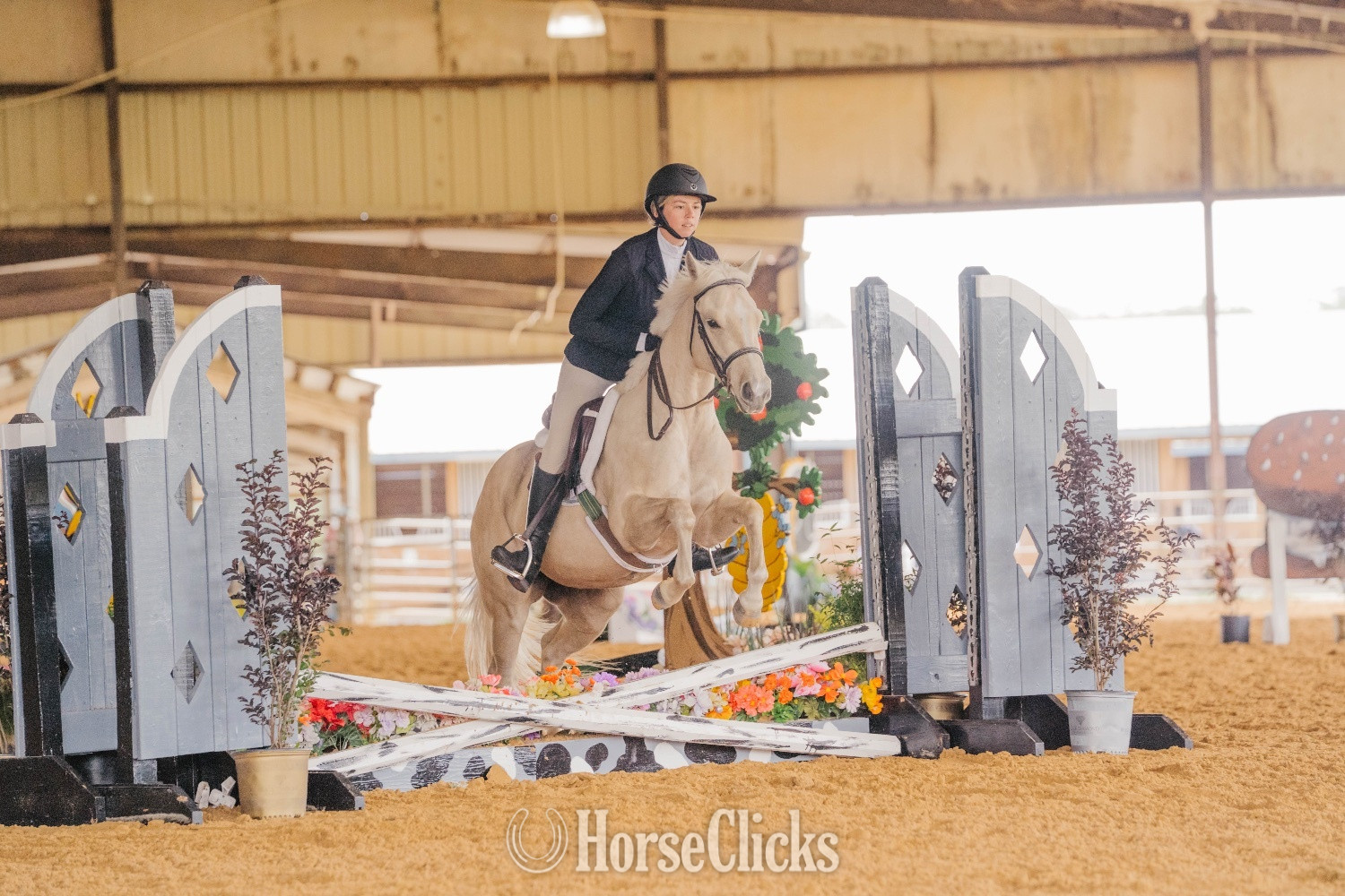 "Lenas Smart Blonde " Palomino Mare Quarter Horse - Quarter Horse in Florida