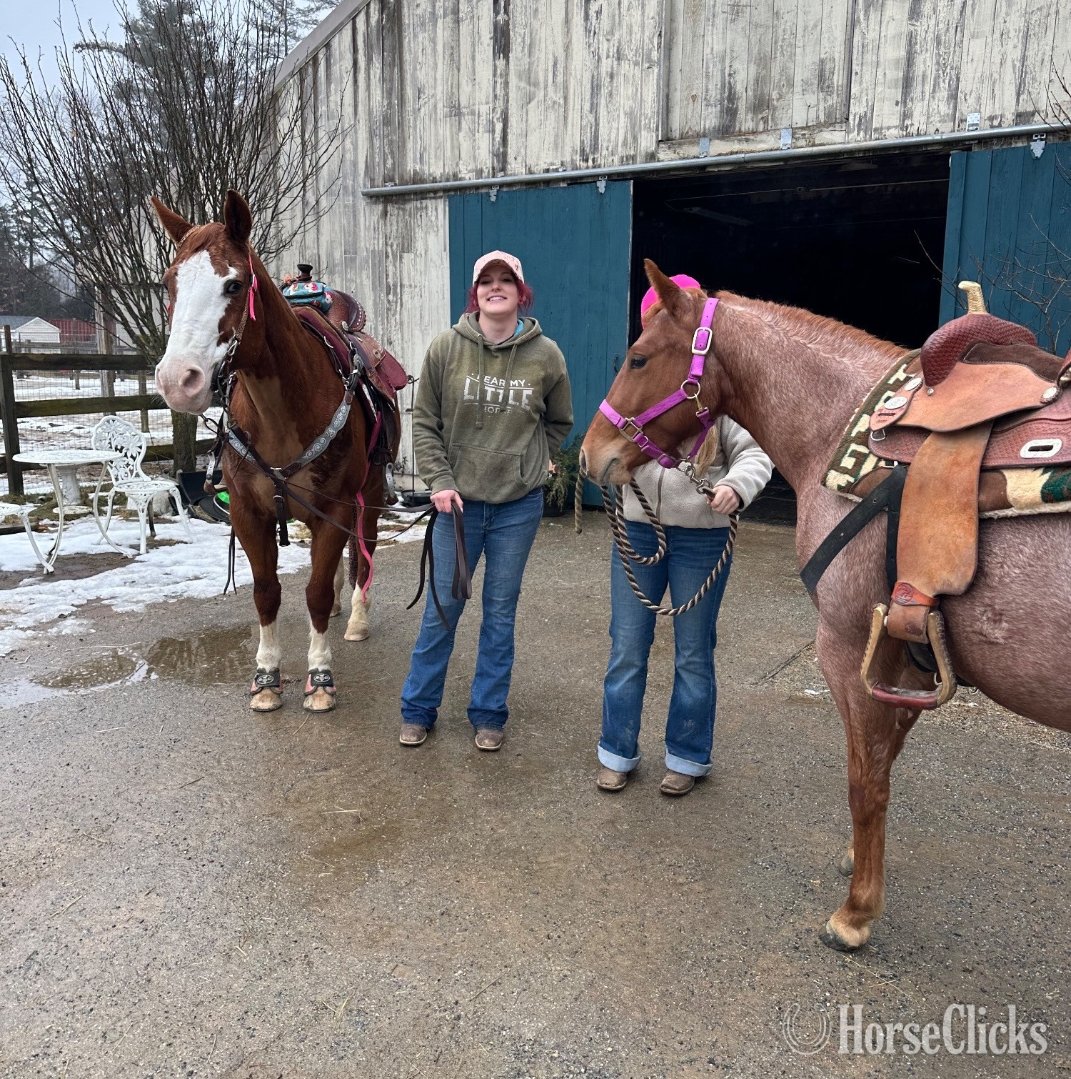 New Hampshire "Shesa Tinseltown Cat" Red Roan Mare Quarter Horse