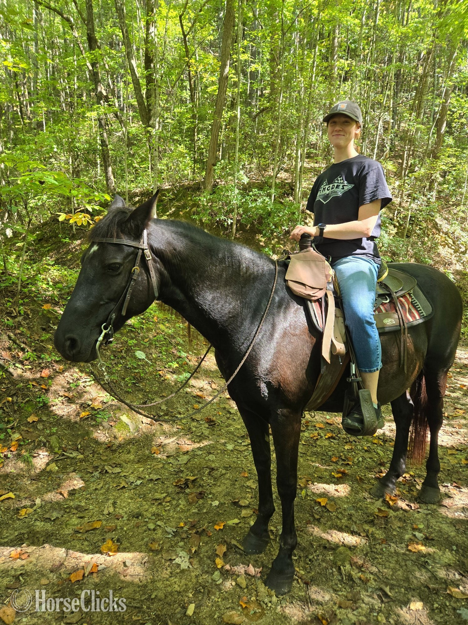 North Carolina "Ace's Black Star aka Piper" Black Mare Rocky Mountain