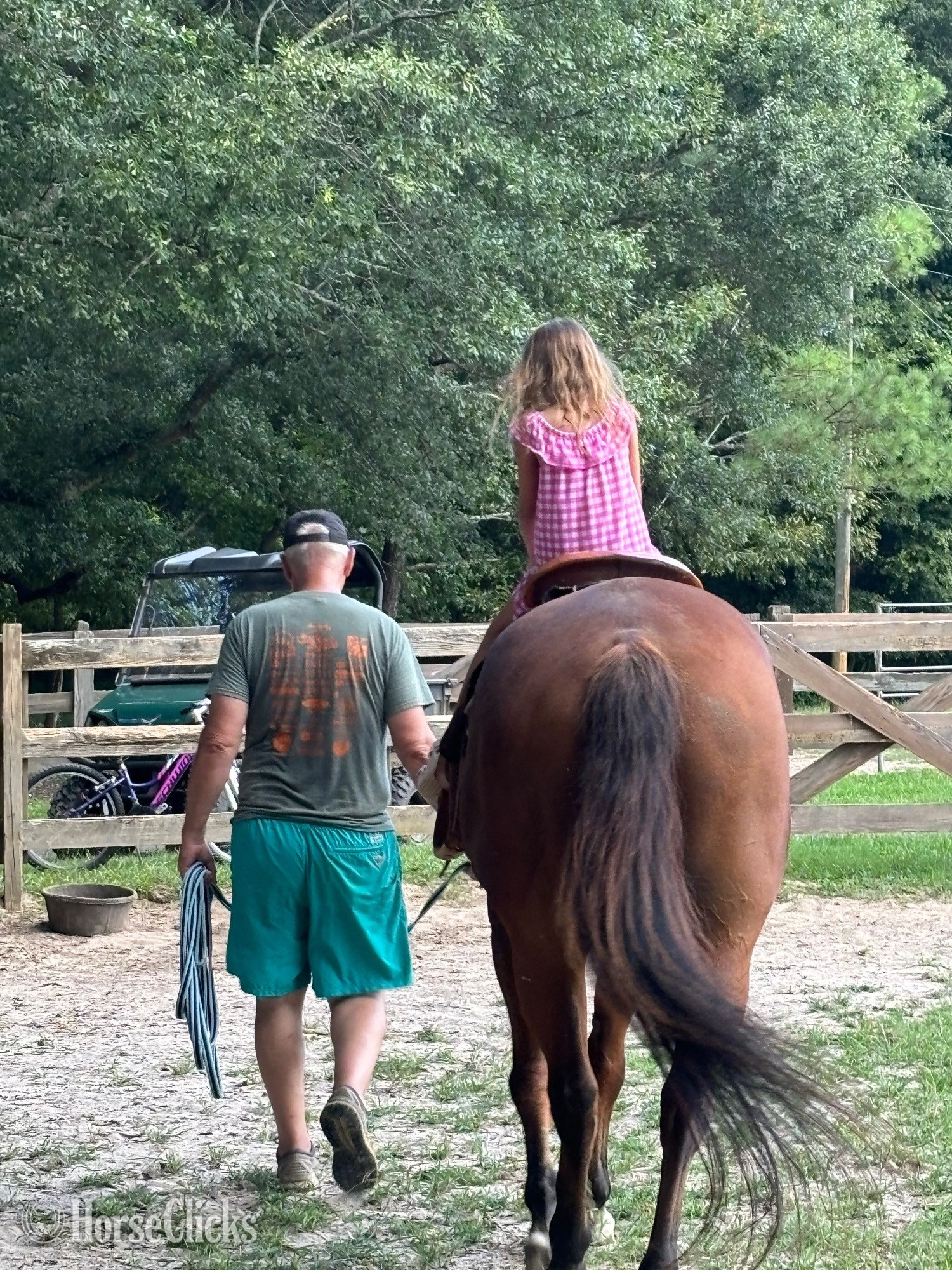 Georgia "Charlie" Bay Gelding Quarter Horse