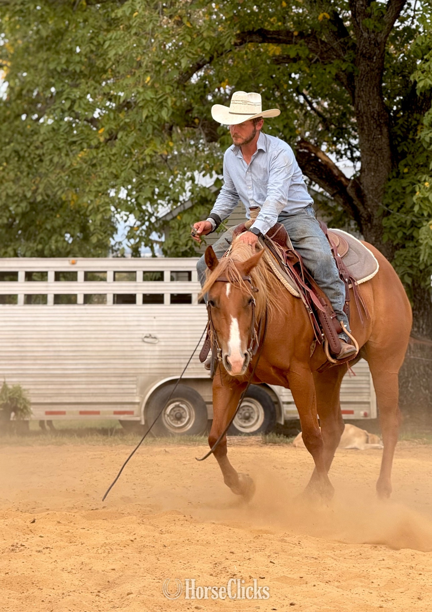 "KISS THIS BOYS (Jolene)" Chestnut Mare Quarter Horse - Quarter Horse
