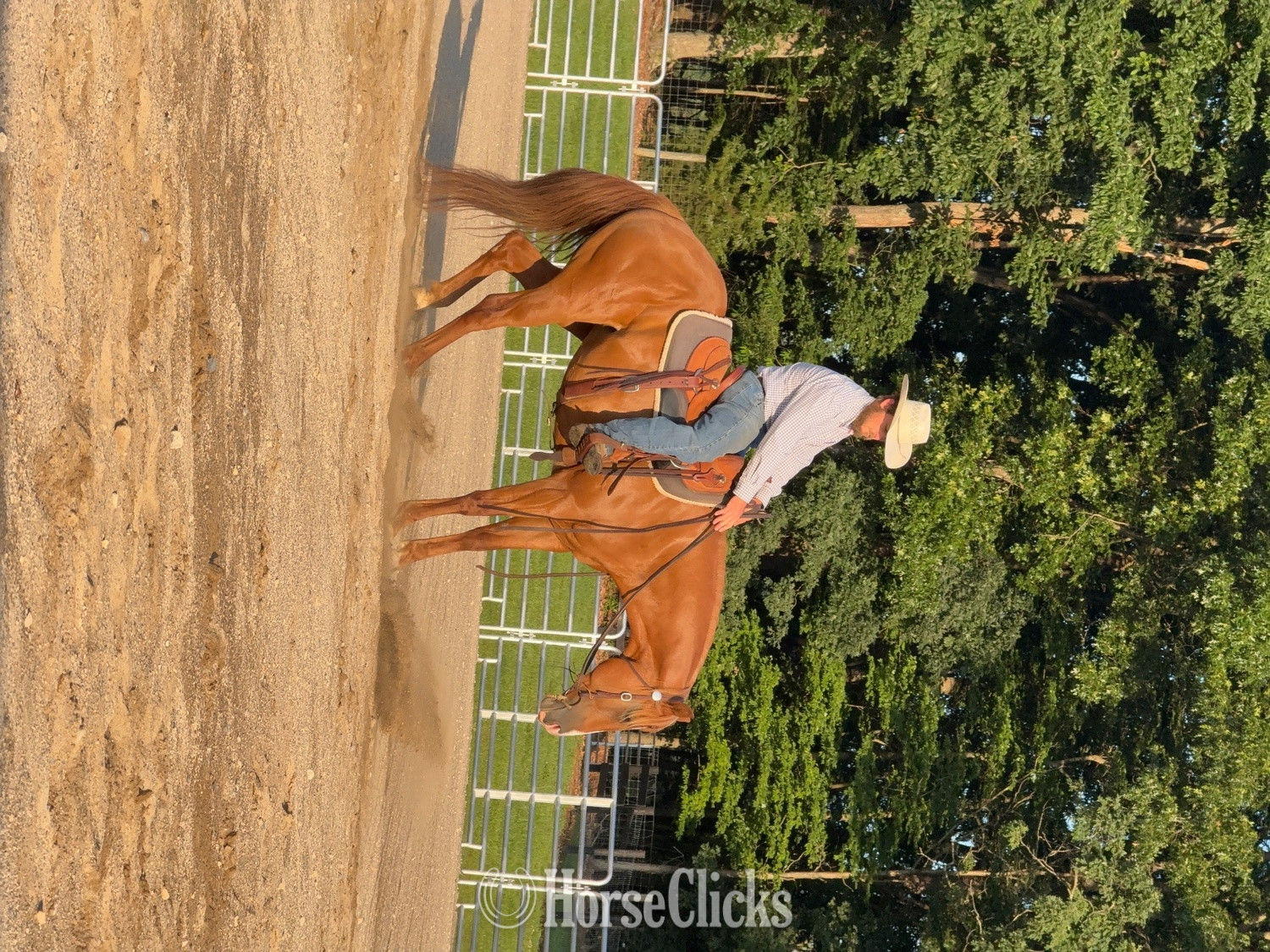"KISS THIS BOYS (Jolene)" Chestnut Mare Quarter Horse Virginia