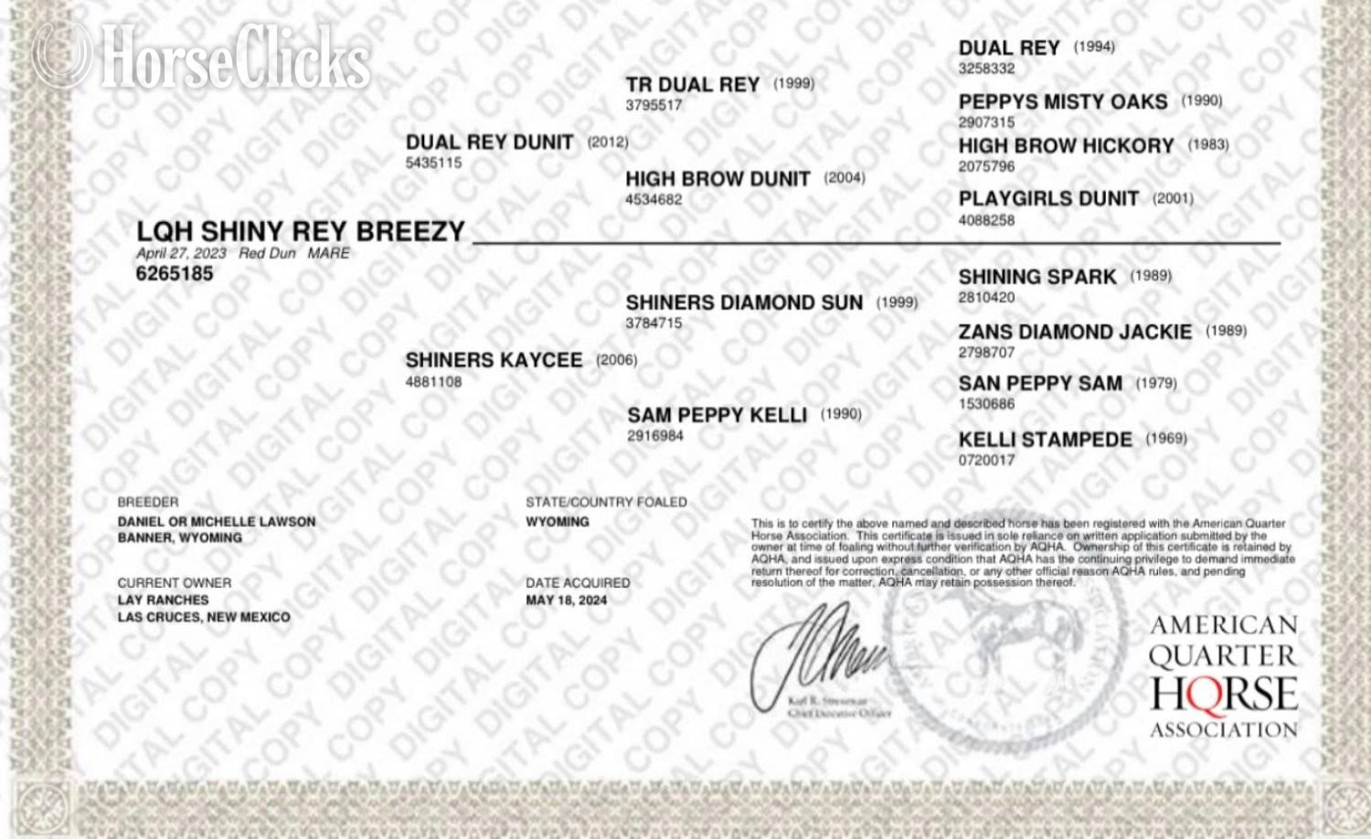 "LQH Shiny Rey Breezy" Red Dun Mare Quarter Horse