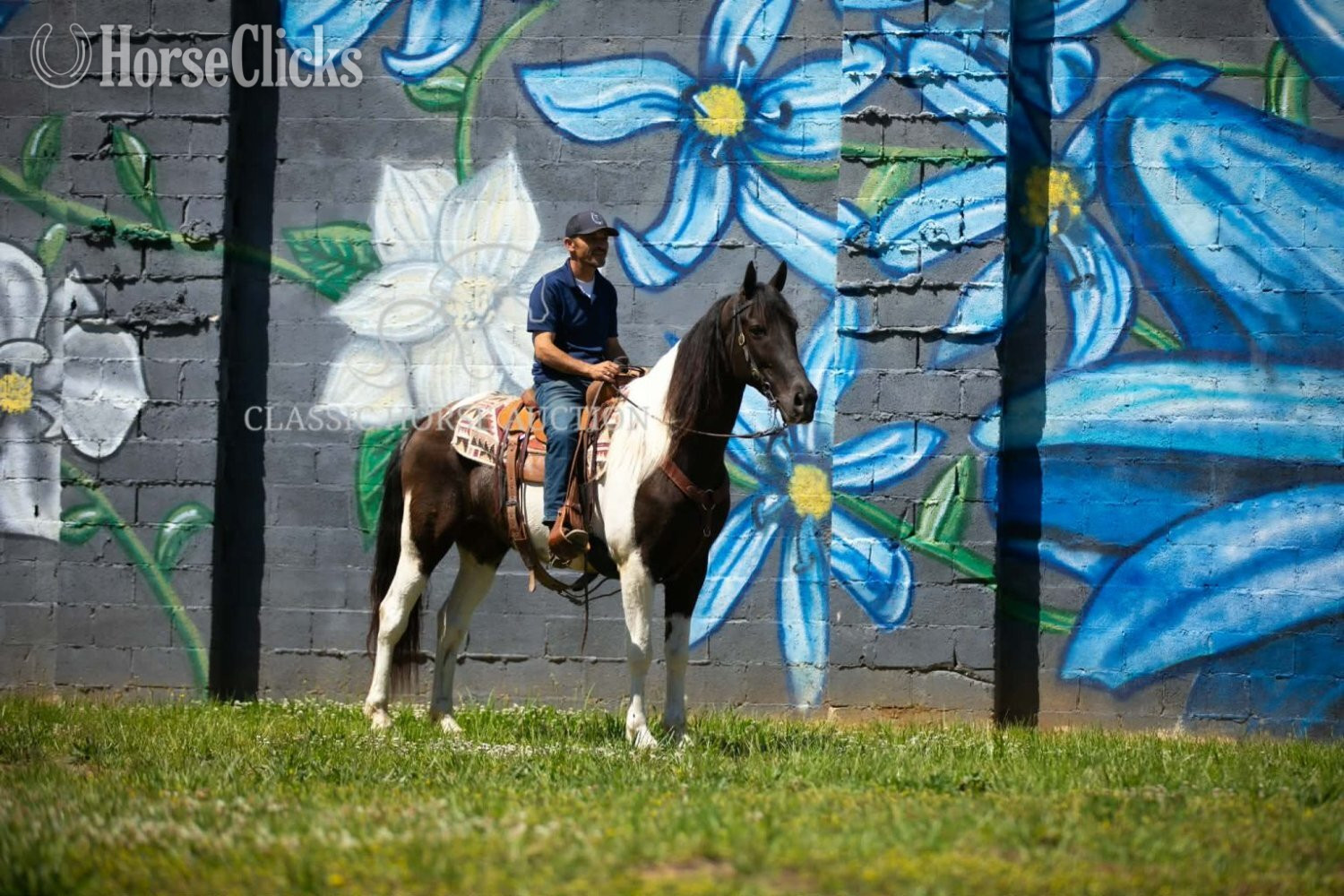 Tennessee "VIA'S APACHE CHIEF" Tabiano Gelding Tennessee Walker