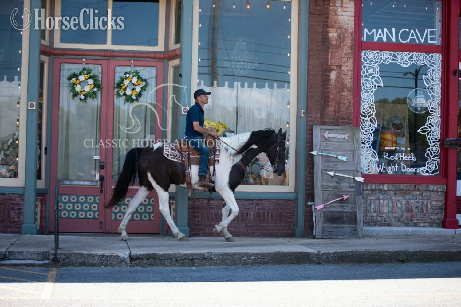 Tennessee Walker - "VIA'S APACHE CHIEF" Tabiano Gelding Tennessee Walker in Tennessee