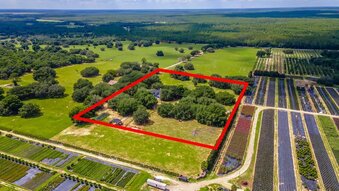 Umatilla Florida Luxury Estate Auction