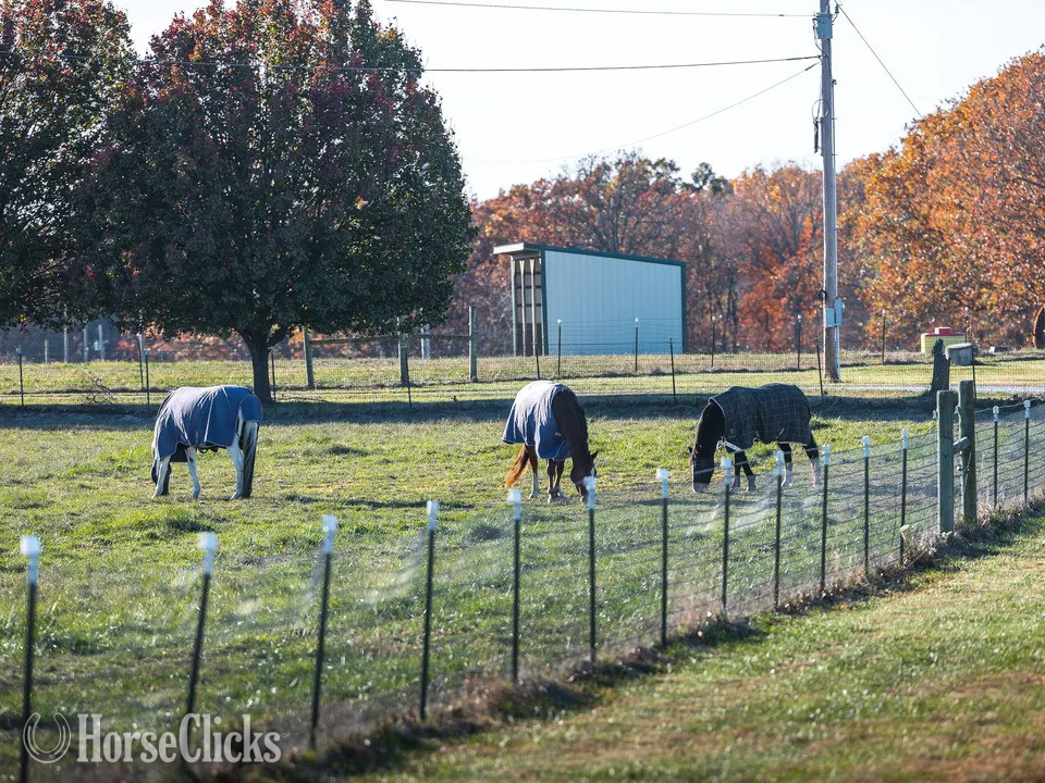 Farms - Whispering Creek Farm A Premier 70-Acre equestrian estate with covered arena. in Missouri