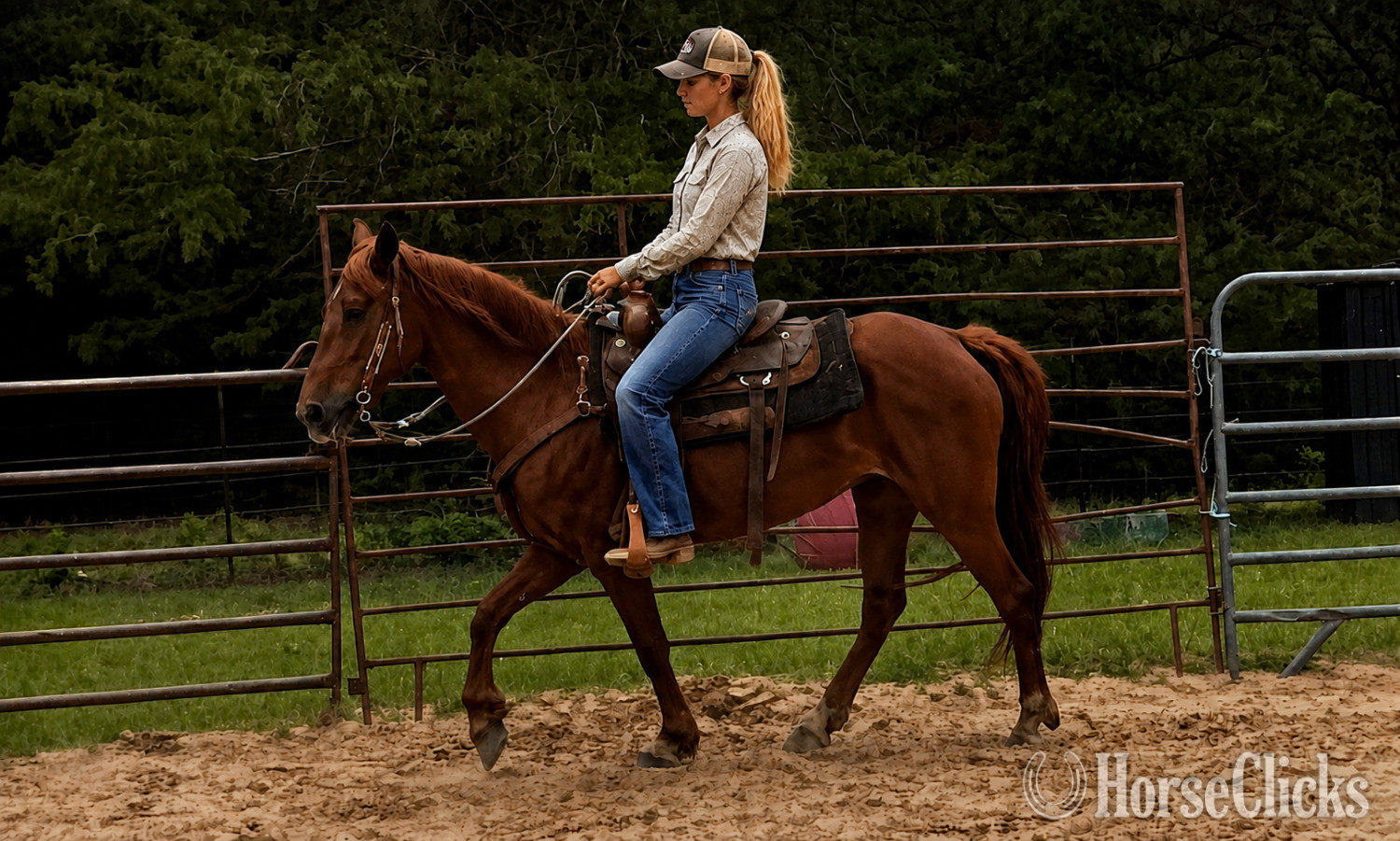 "Cricket" Sorrel Mare Paso Fino - Paso Fino in Texas
