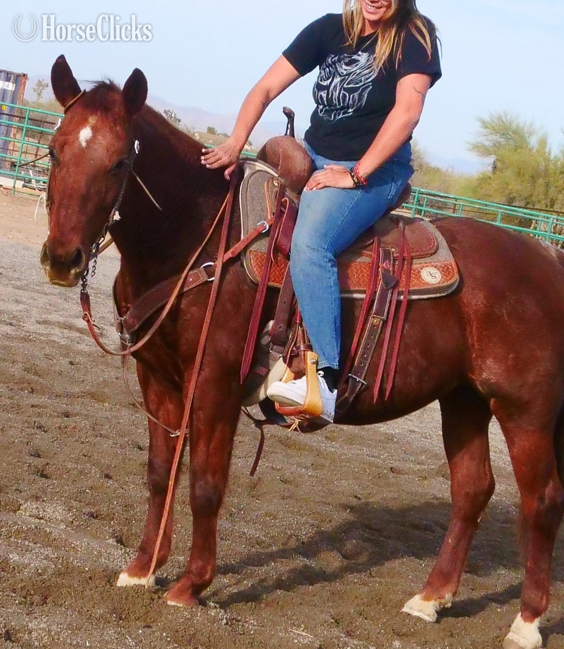 "Polly Pockets" Red Roan Mare Quarter Horse - Quarter Horse in Arizona