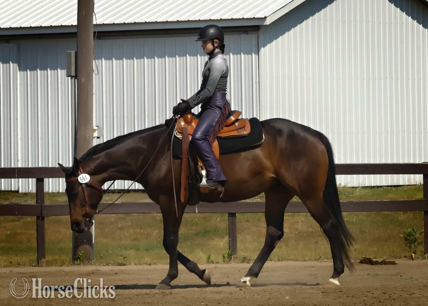 "PSU One N Only Clue" Brown Mare Quarter Horse in Pennsylvania
