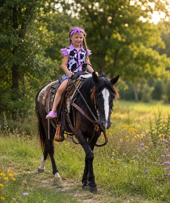 "Bugs" Bay Roan Mare Paso Fino