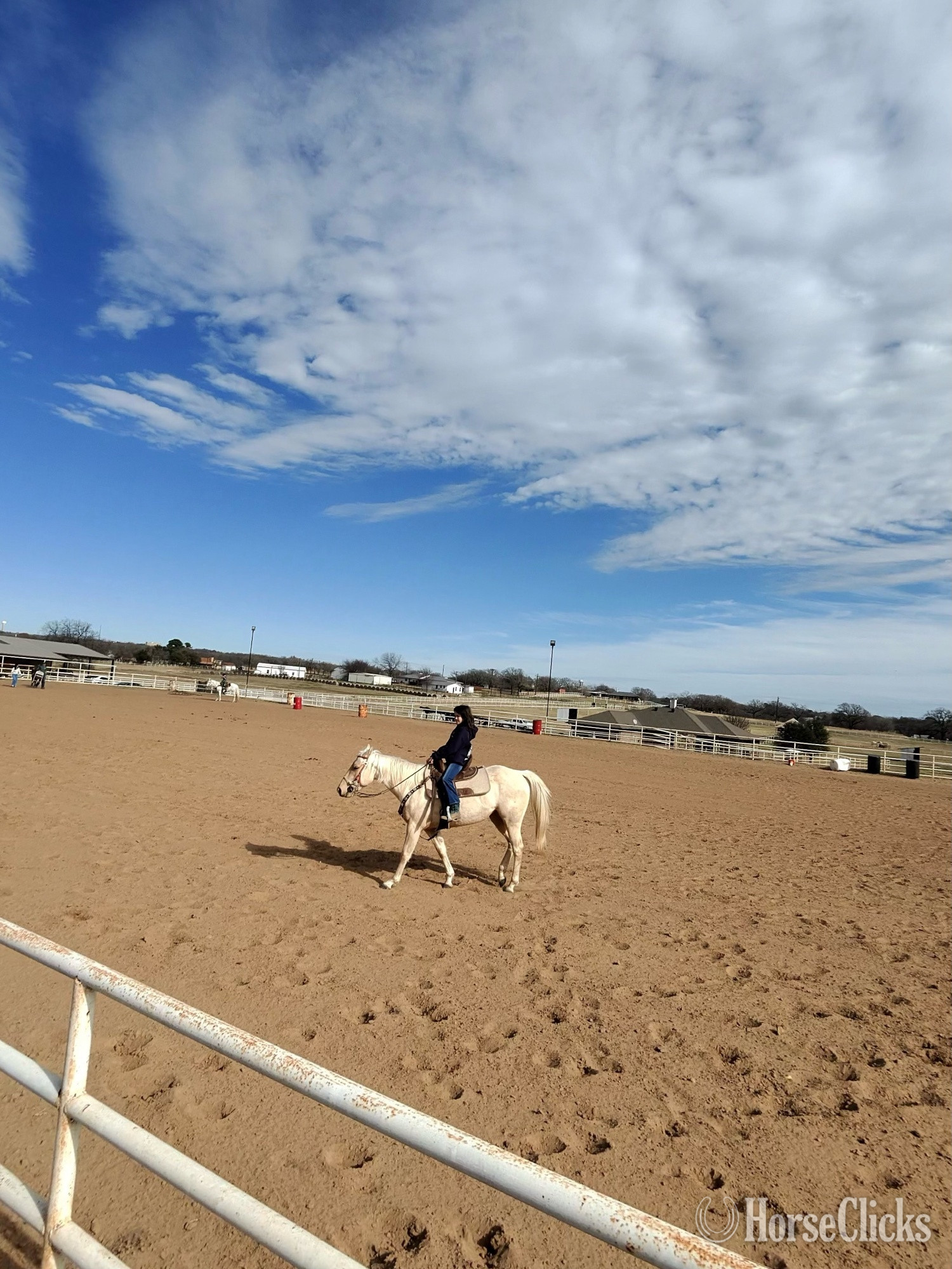 Massachusetts "Colonels lil queen " Palomino Mare Quarter Horse