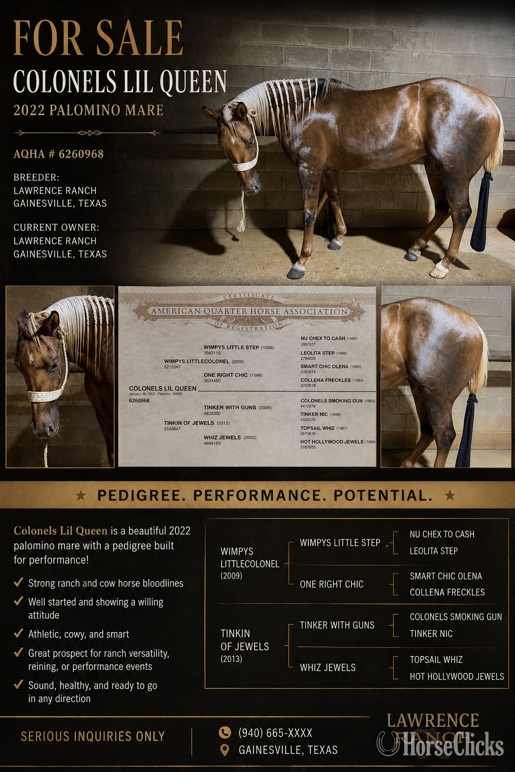 "Colonels lil queen " Palomino Mare Quarter Horse - Quarter Horse in Massachusetts