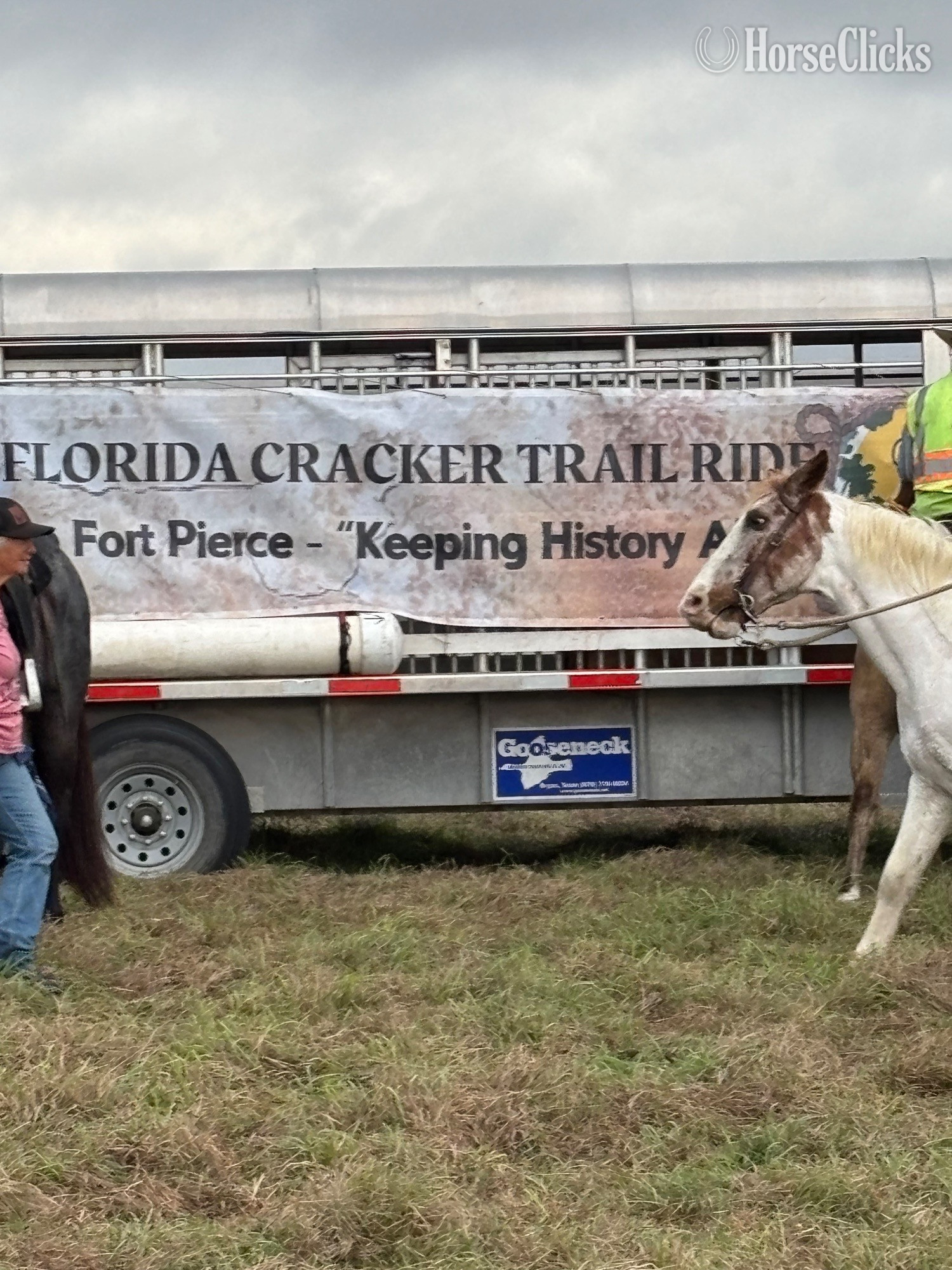 Tennessee "LeRoy" Spotted Gelding Pony
