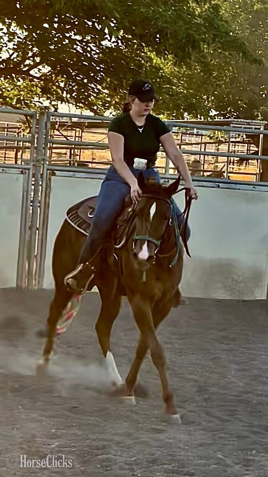 "AQHA Envy" Sorrel Filly Quarter Horse in California