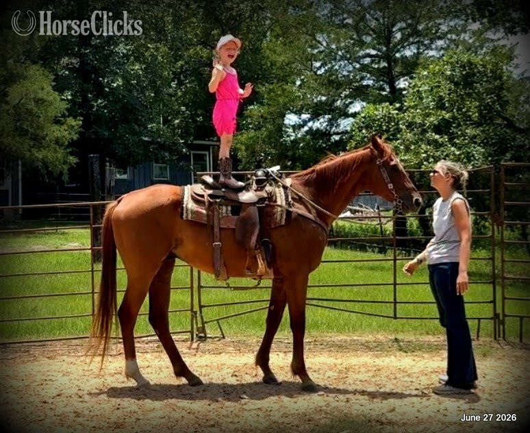 "Yogy" Sorrel Gelding Quarter Horse in Texas