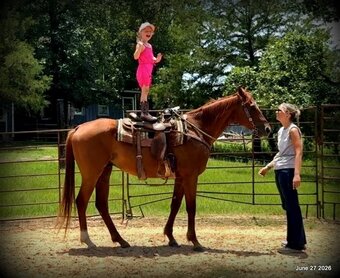 "Yogy" Sorrel Gelding Quarter Horse
