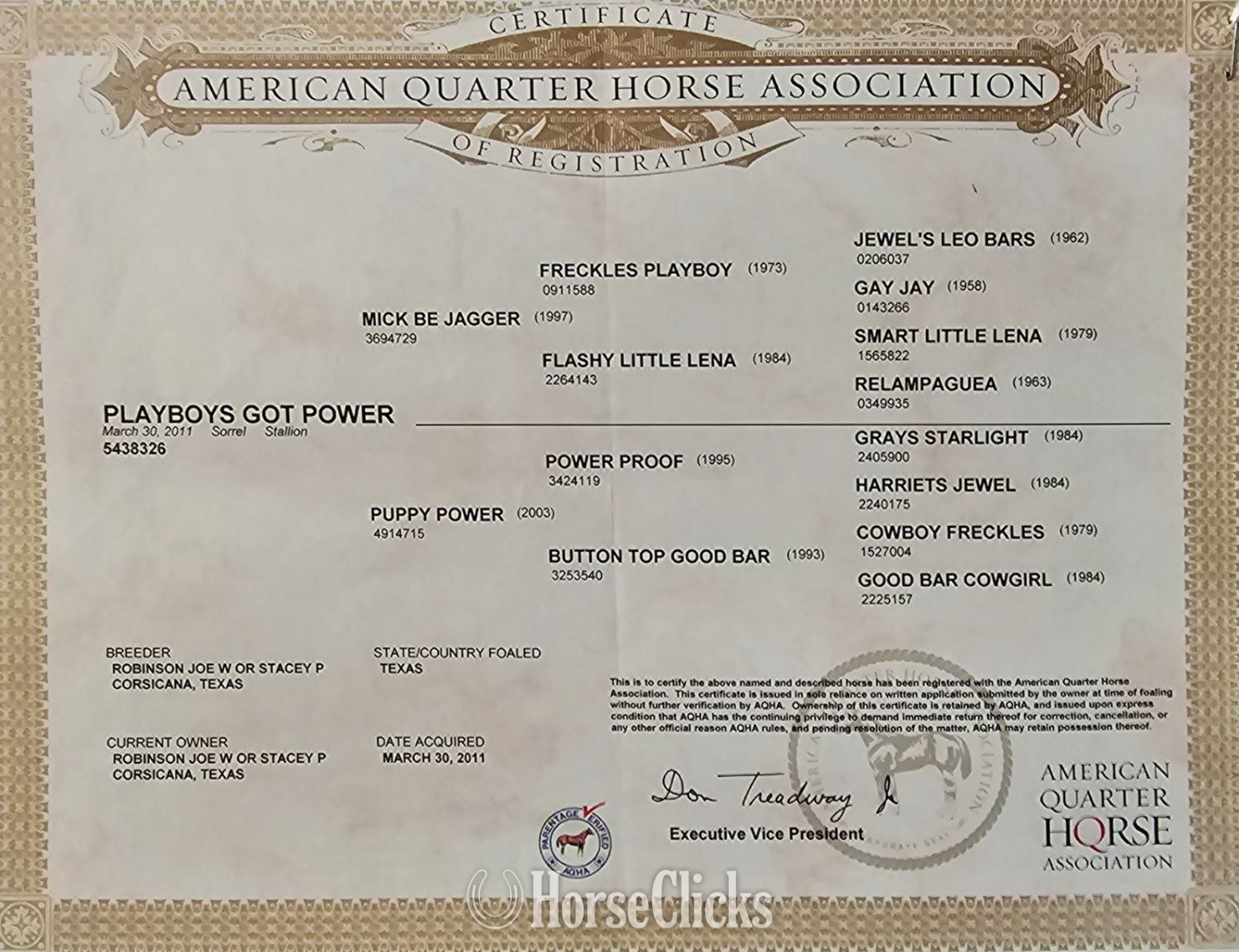 Texas "PLAYBOYS GOT POWER" Sorrel Gelding Quarter Horse