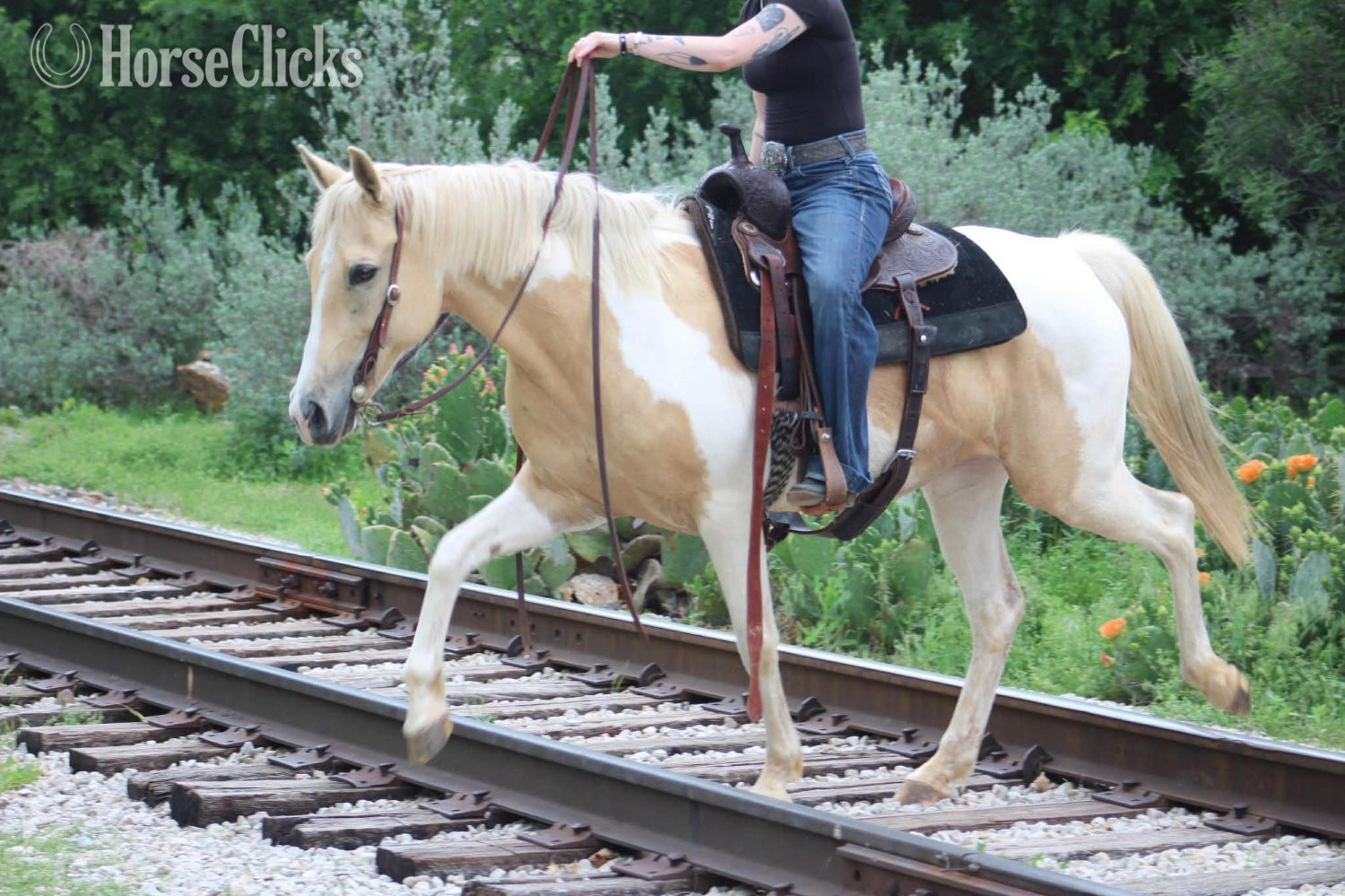 "JOLENE" Palomino Mare Paint - Paint in Texas