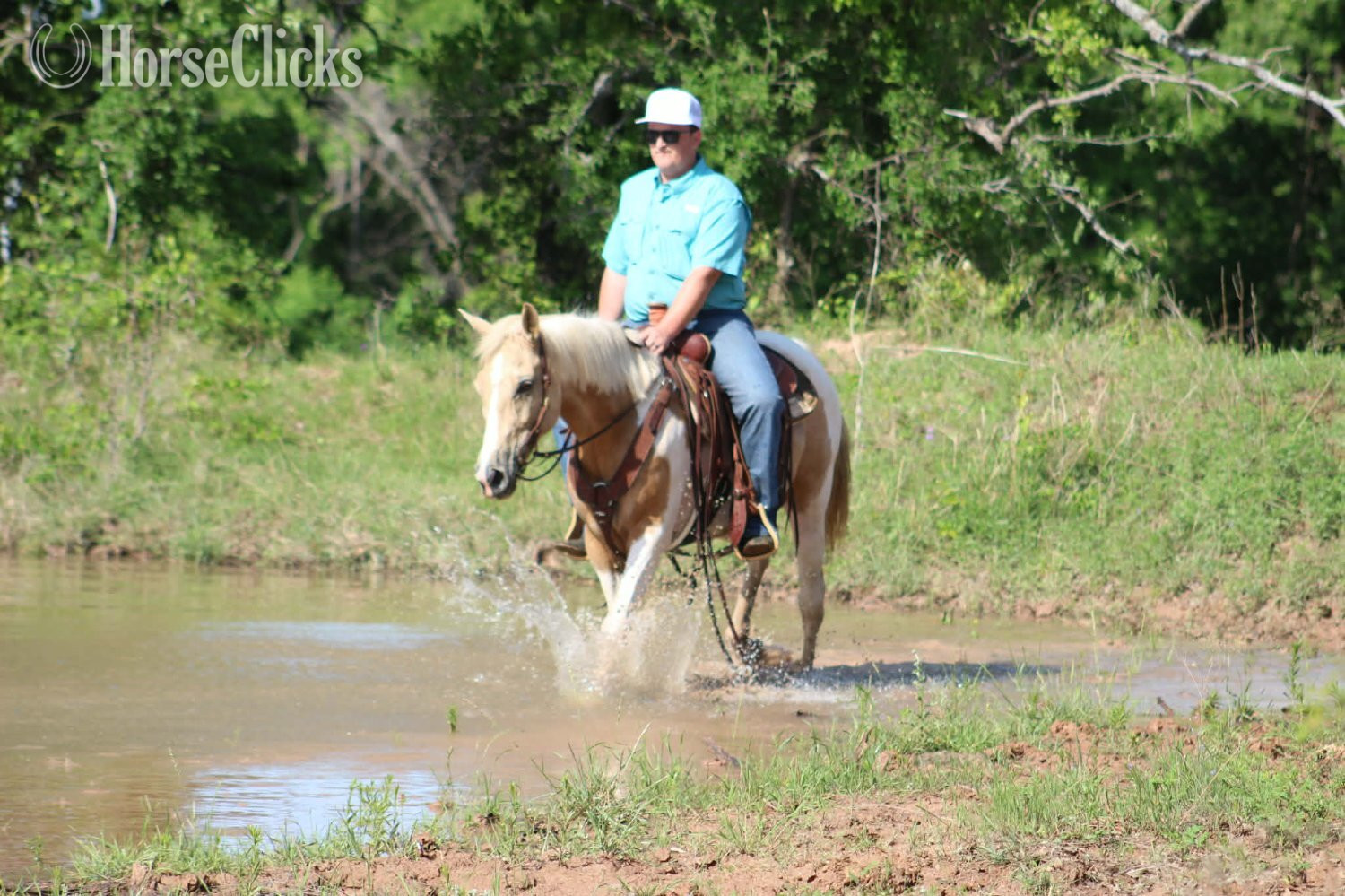 Paint - "JOLENE" Palomino Mare Paint in Texas