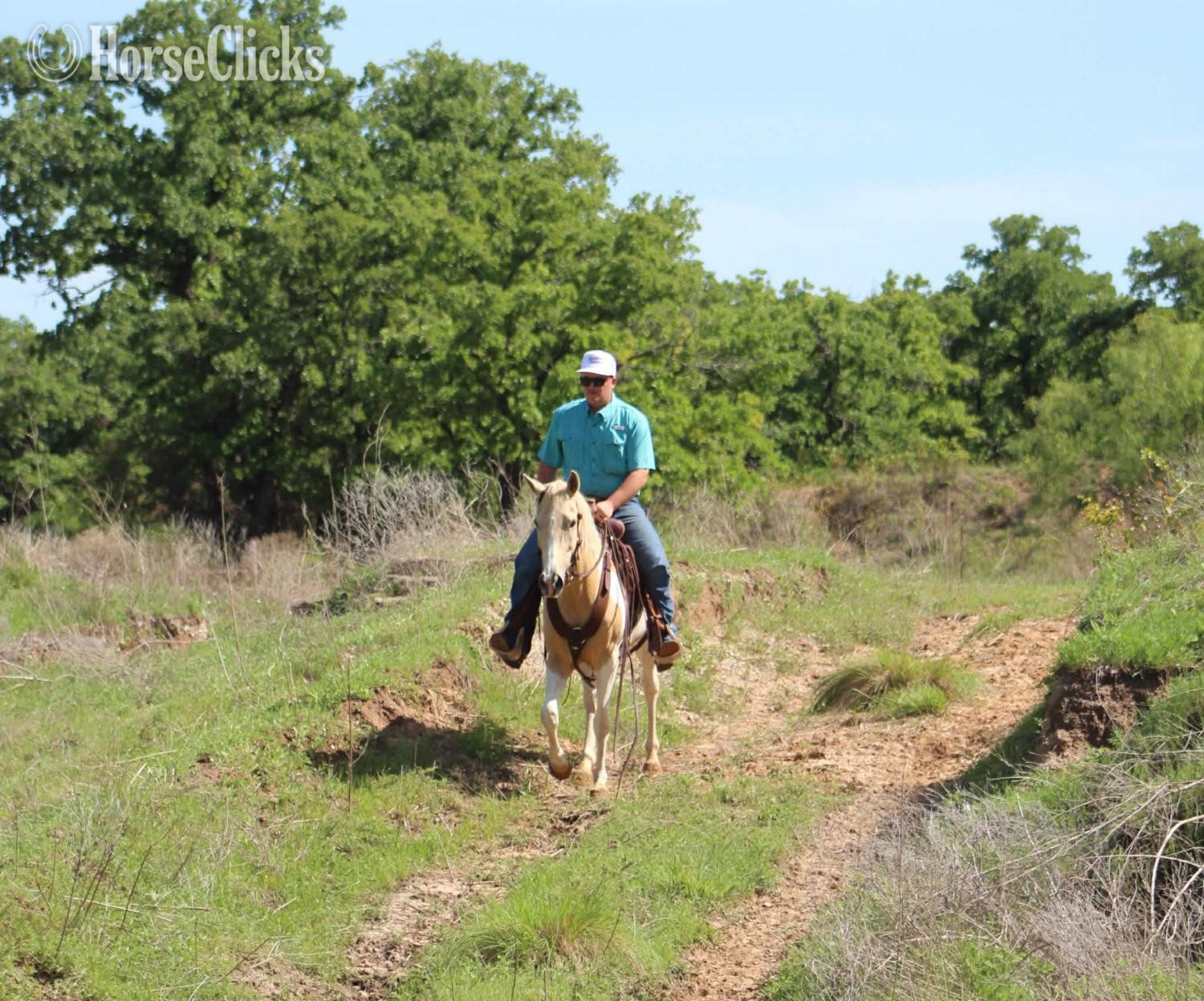 Paint - "JOLENE" Palomino Mare Paint