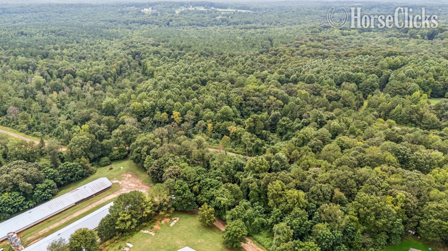 16+ acres in Jefferson Georgia