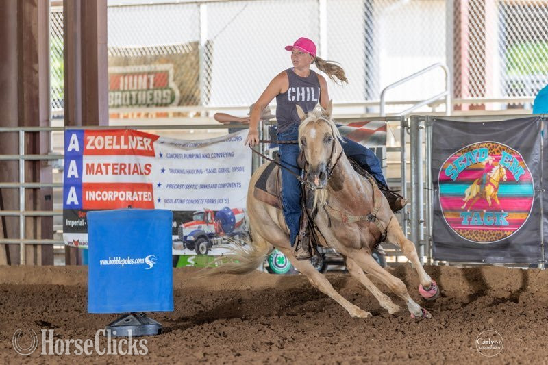 Illinois "Frenchman's Bart 22 "Cactus"" Palomino Gelding Quarter Horse