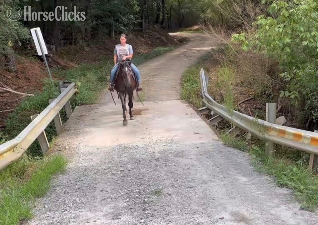 Kentucky Mountain - "Molly" Black Mare Kentucky Mountain in Georgia