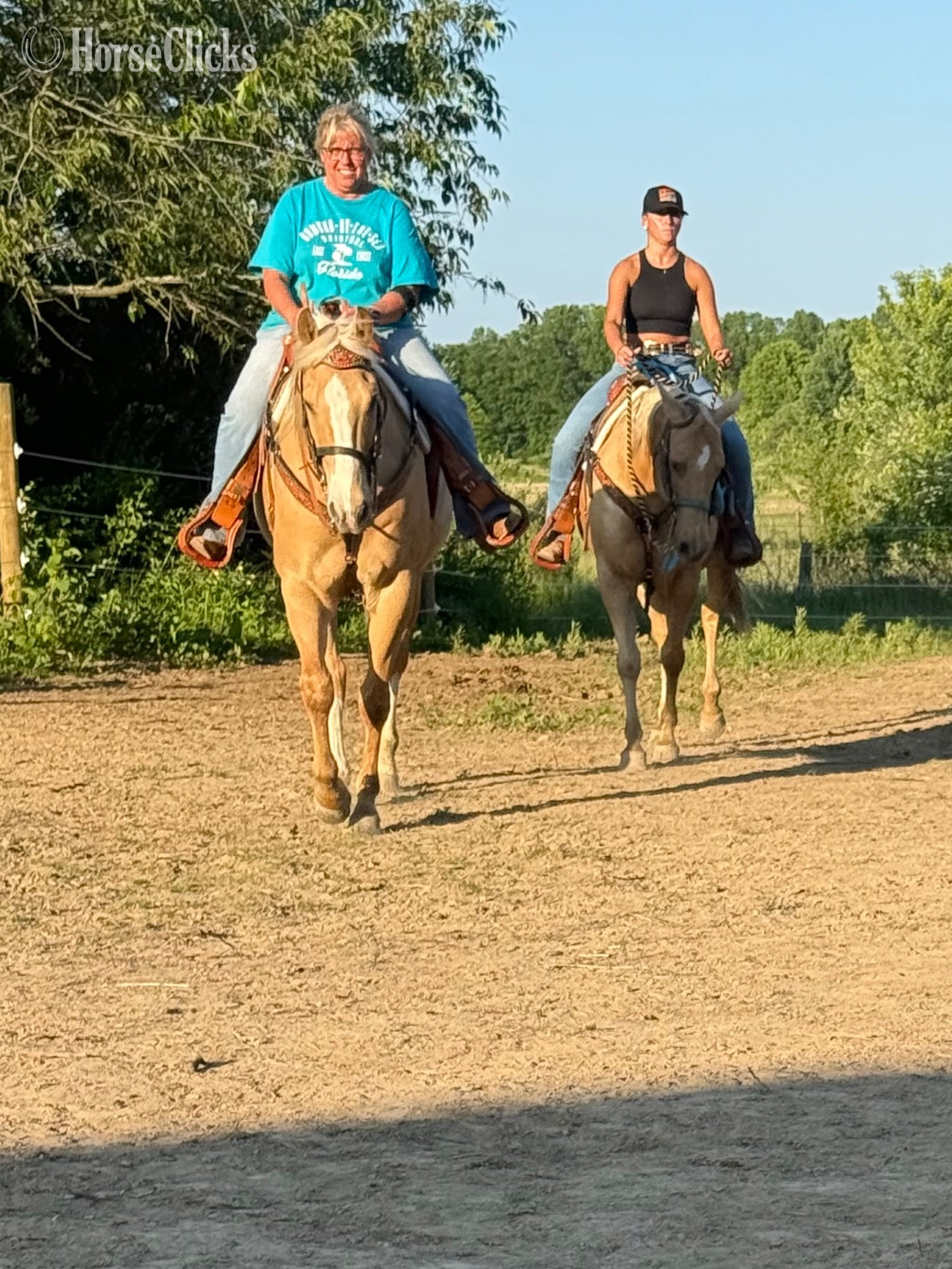 "Apollo" Palomino Gelding Paint - Paint in Ohio