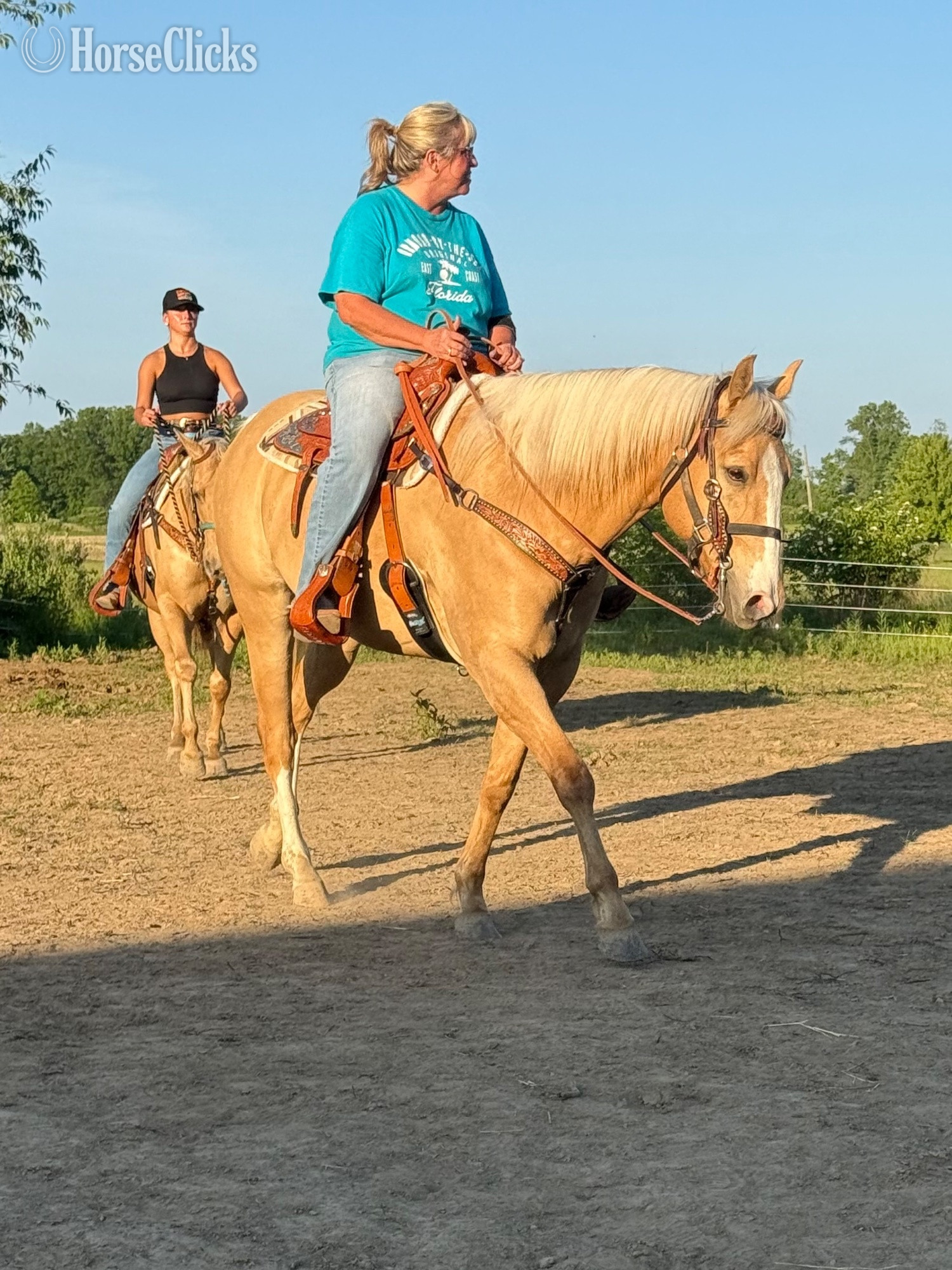 "Apollo" Palomino Gelding Paint Ohio
