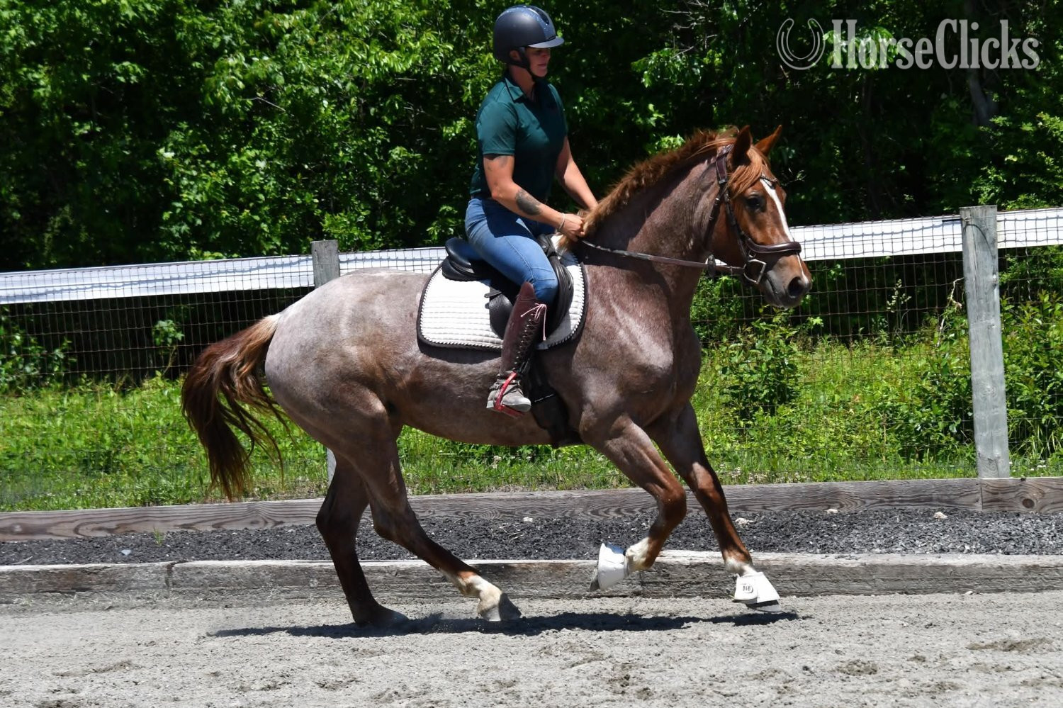 "River"  Mare Draft - Draft in California