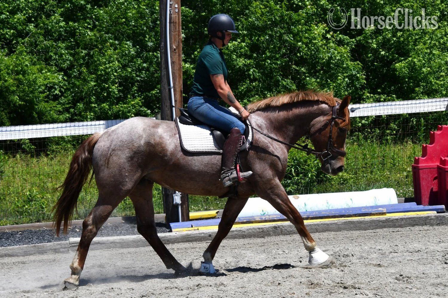 Draft - "River"  Mare Draft