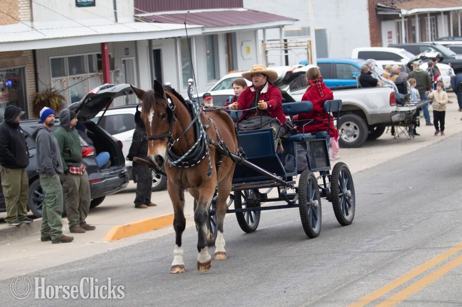 Missouri "Jimbo" Bay Gelding Other Breed