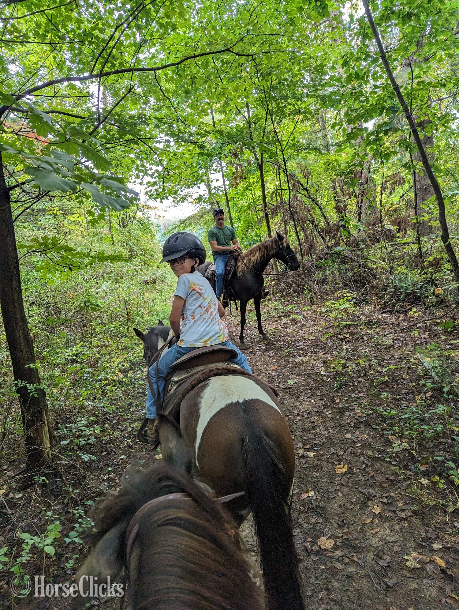 "Lilly" Tri-Color Mare Pony