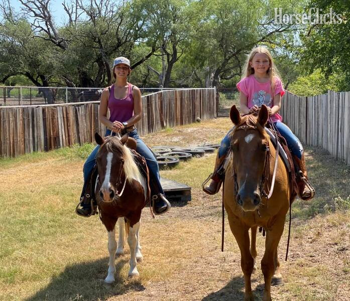 Pony - "Country" Tri-Color Gelding Pony