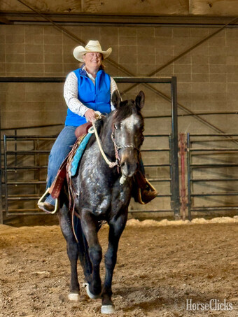 "Eagles Black Shadow" Black Mare Appaloosa